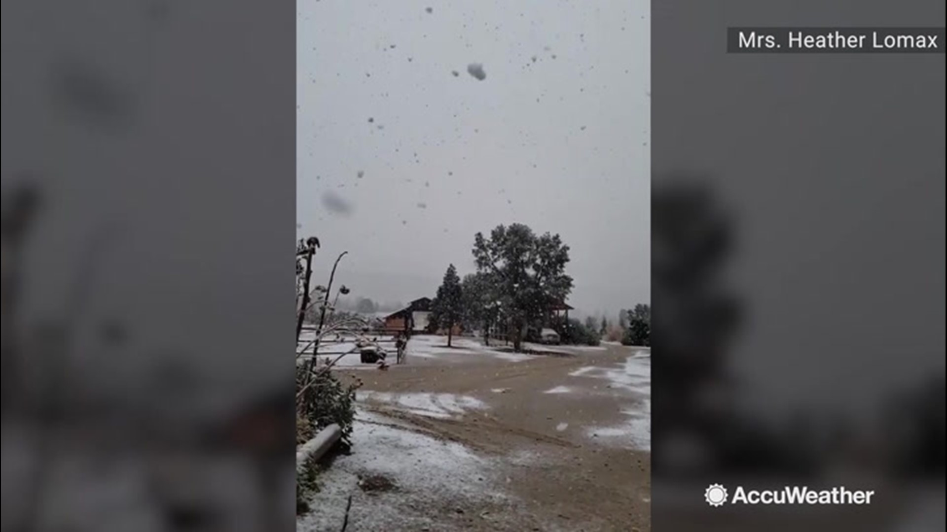 Gigantic snow flakes hit Lockwood Valley, California, on Nov. 20, covering the ground in snow.