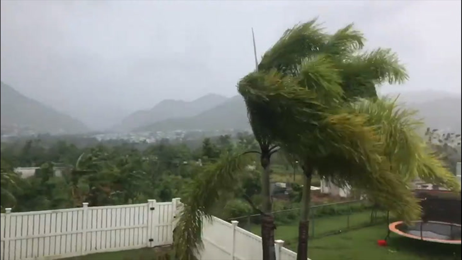 Tropical Storm Laura hit Puerto Rico on Saturday, Aug. 22, bringing severe storm conditions to the area.