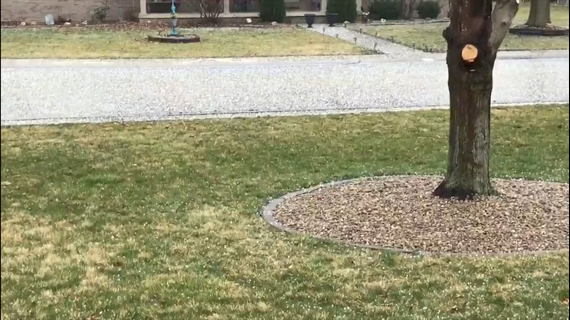 On March 12, intense thunderstorms dumped marble- and pea-sized hail on South Jacksonville, Illinois.