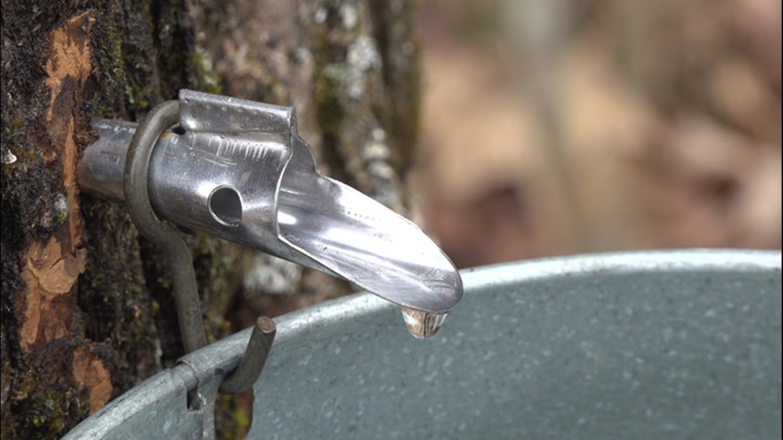 Sap flows in Vermont as spring gets underway | king5.com