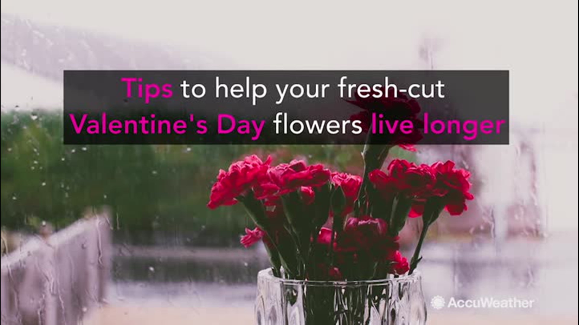 Tips to keep your Valentine's Day flowers alive longer ...