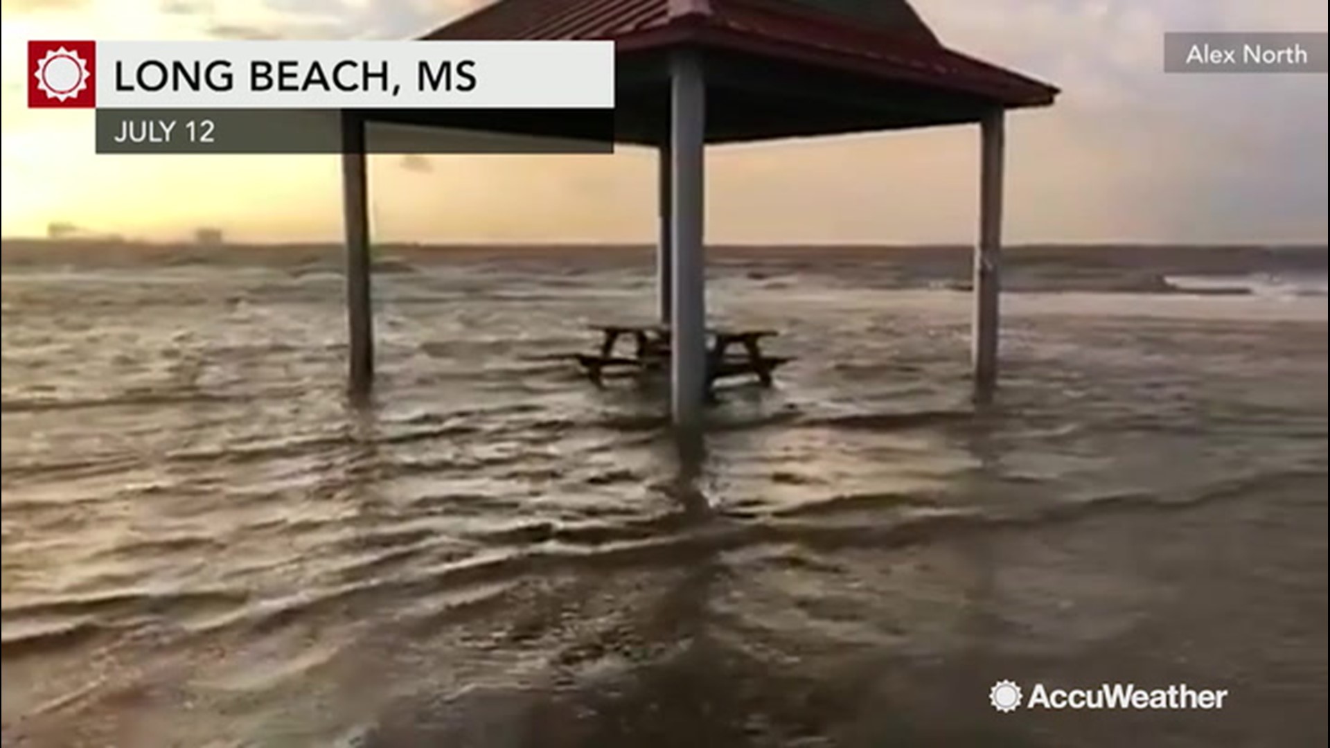 Mississippi's Gulf Coast has taken hit environmentally due to the effects of Hurricane Barry according to governor Phil Bryant.  He explains three particular marine animals affected by the storm are oysters, shrimp and bottlenose dolphins.