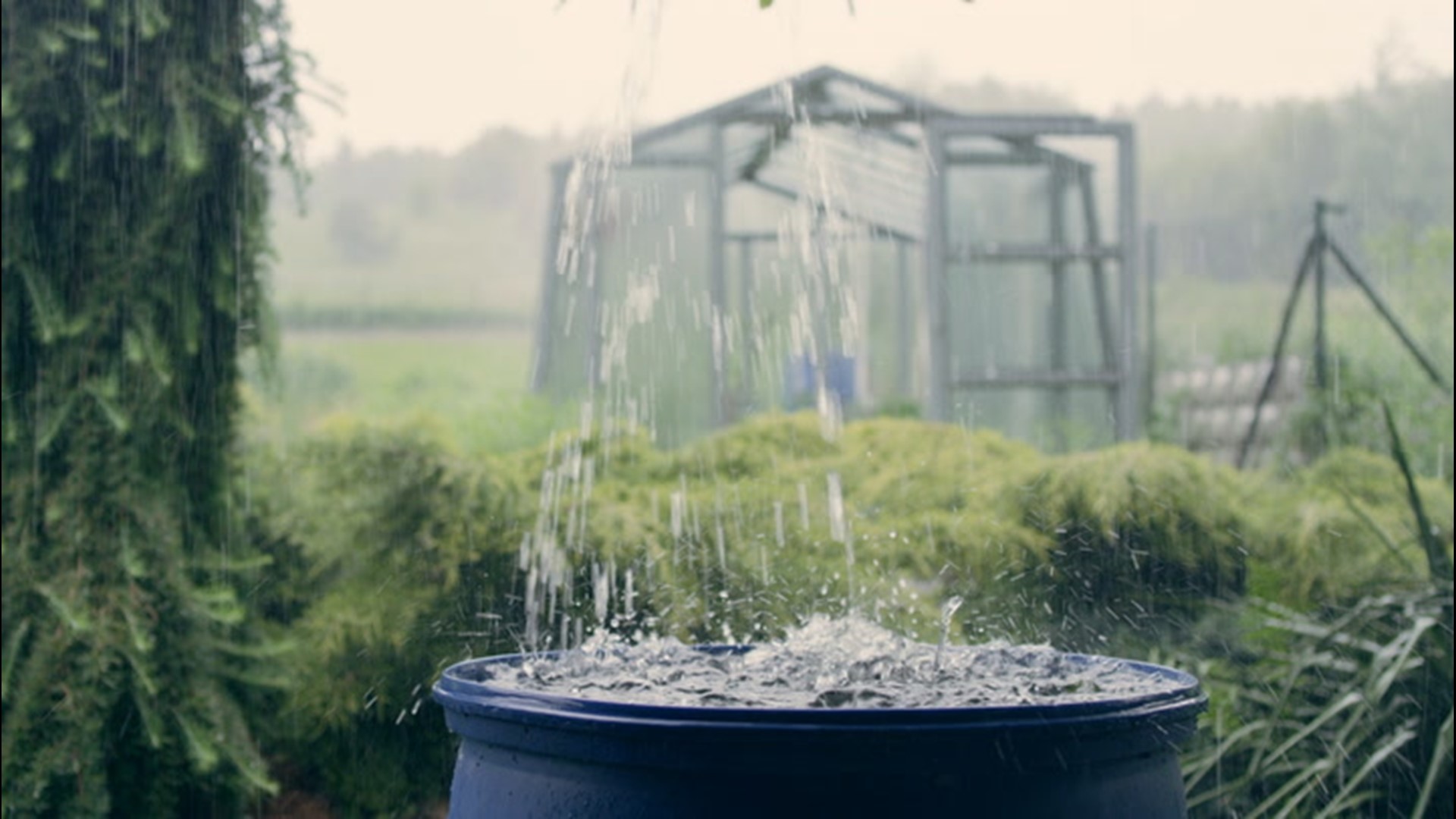 With millions of people living in areas dealing with increasing drought and rising water costs, many are learning how to harvest rainwater.