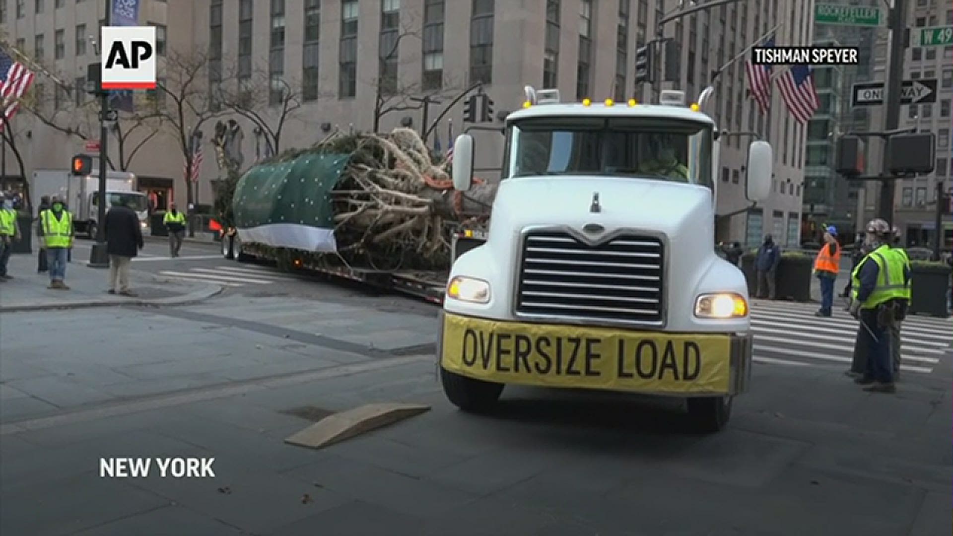 A huge Norway spruce arrived at New York City's Rockefeller Center to serve as one of the world's most famous Christmas trees.