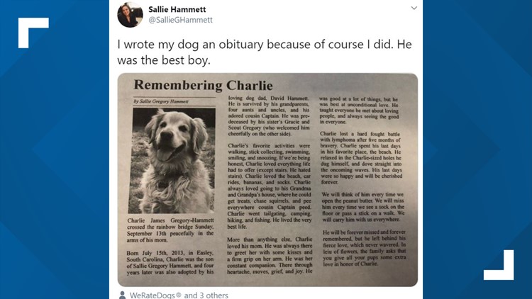 Woman writes obituary for her dog Charlie | king5.com