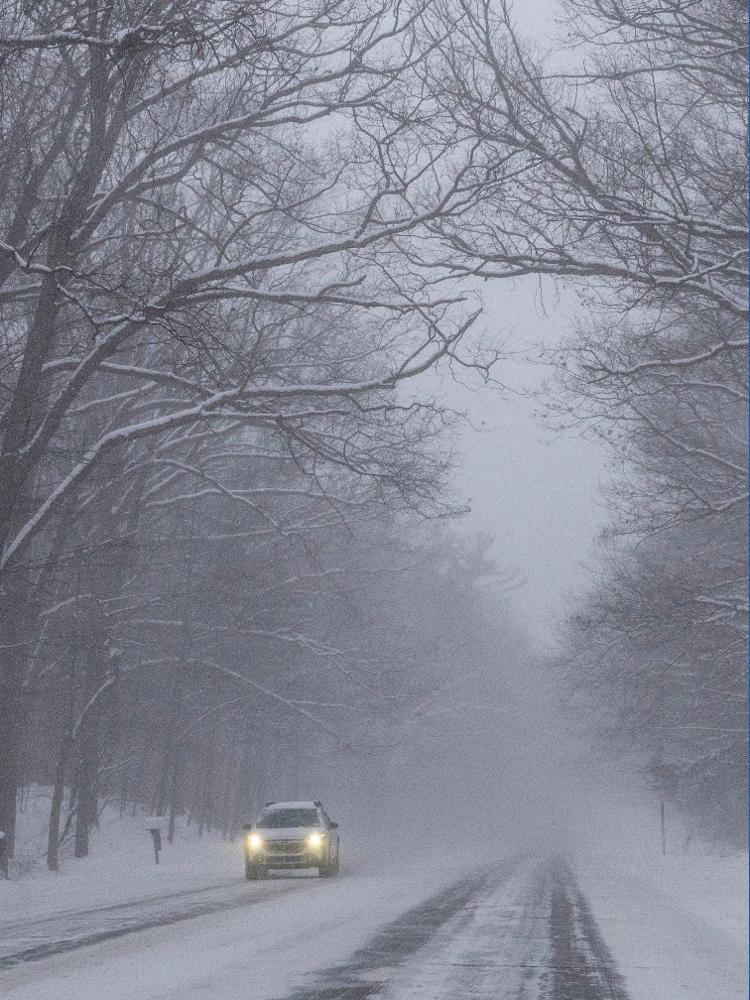 Can trees 'explode' during winter weather? | king5.com