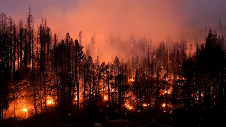 US plans $50B wildfire fight where forests meet suburbia