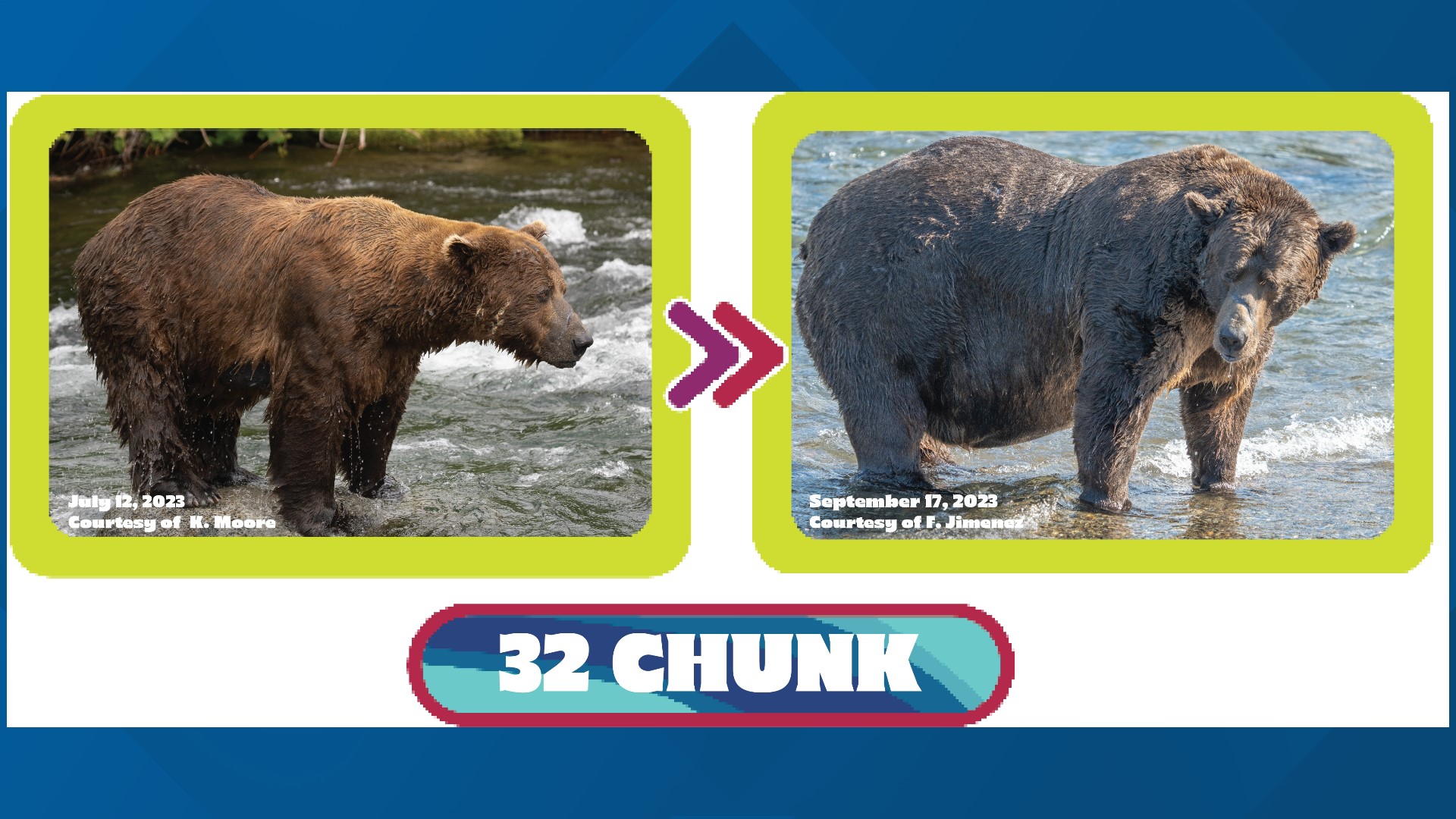 Who won Fat Bear Week 2023?