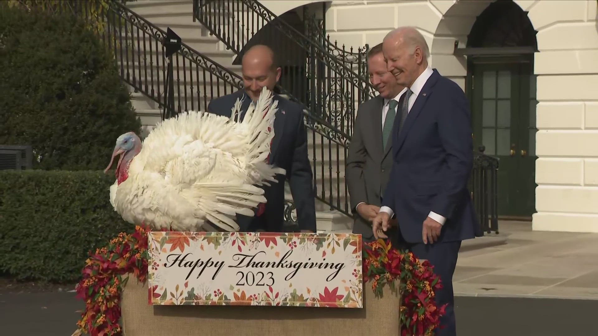 President Biden spent part of his 81st birthday observing the White House tradition of pardoning Thanksgiving turkeys.