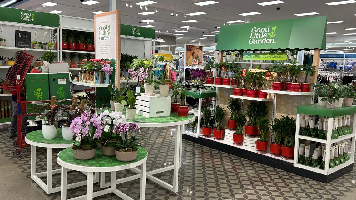 Target Products In Store Target is lowering prices on over 3,000 products this spring | king5.com