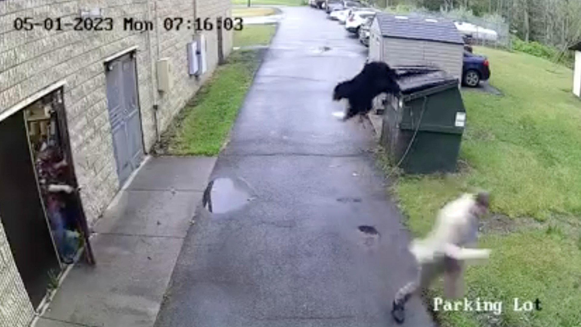In a video provided by Nicholas County Schools, Zela Elementary School Principal James Marsh reacts after a black bear jumps out of a trash dumpster.
