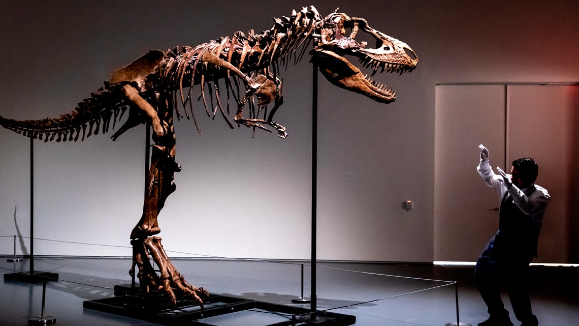 'Unbelievable' 76 million-year-old dinosaur skeleton to be auctioned in NYC