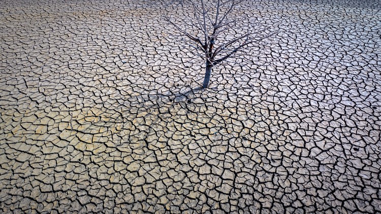UN head says survival depends on how people manage water