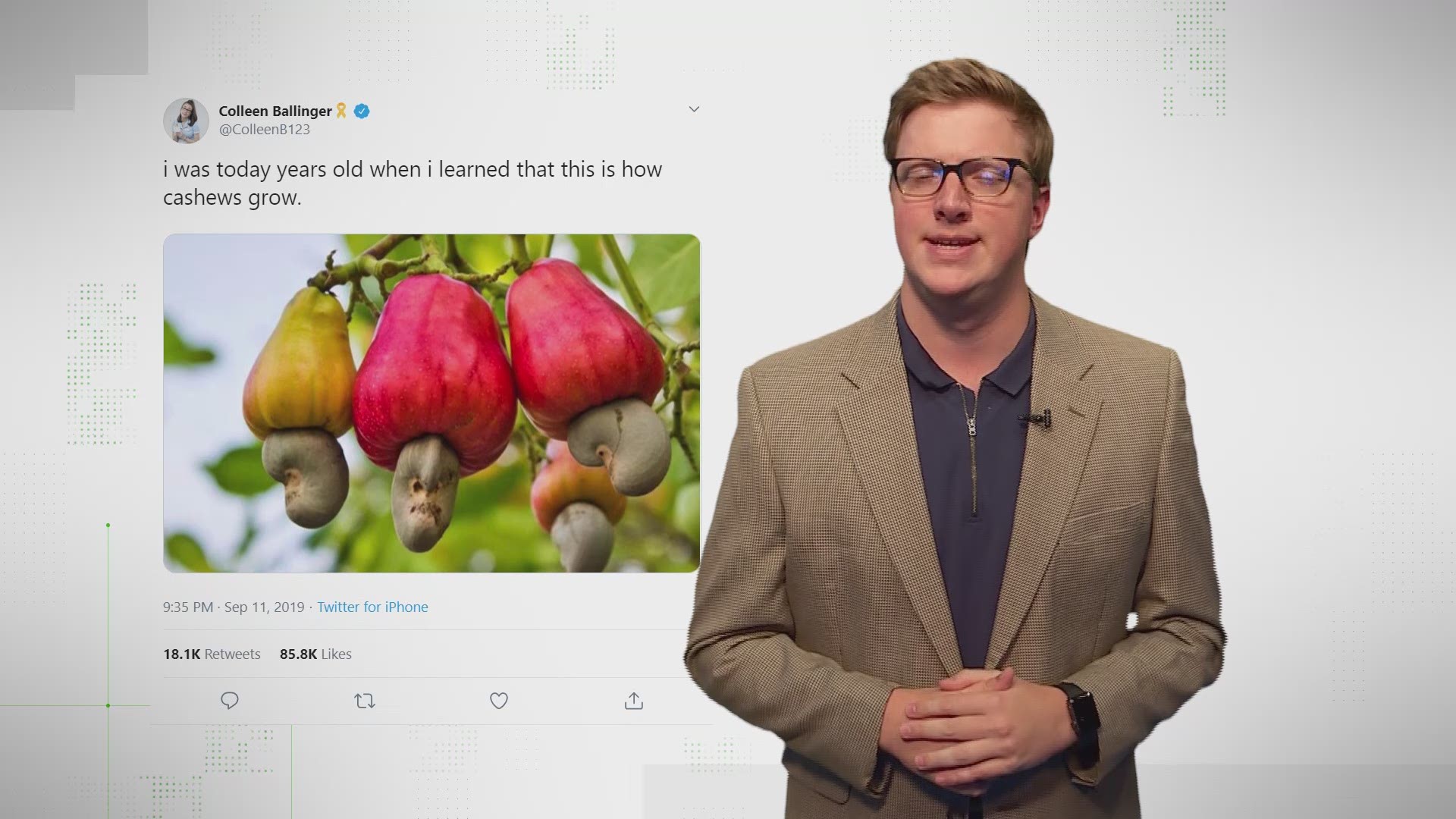 "Cashew apples," WebMD accuracy and Palindromes have almost nothing in common; except for being viral internet topics this week.
