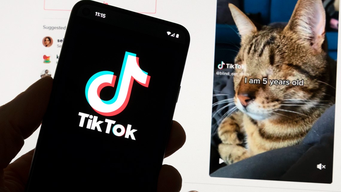Why is TikTok removing music? - Vimarsana News