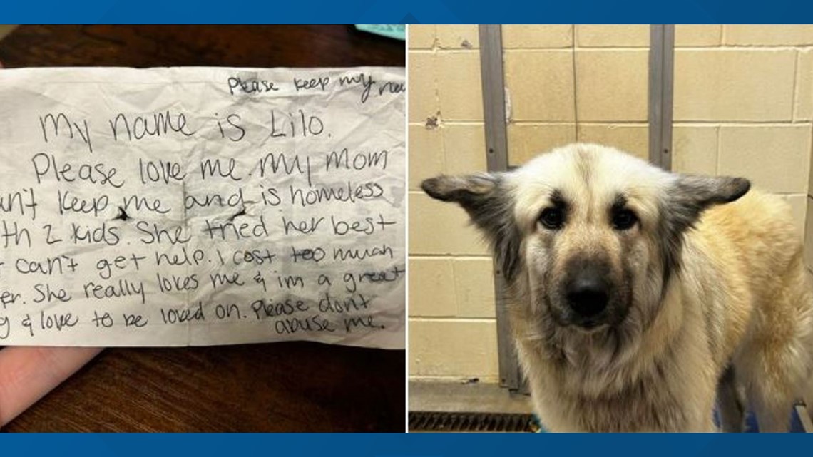 Tennessee animal shelter reunites homeless woman, dog 