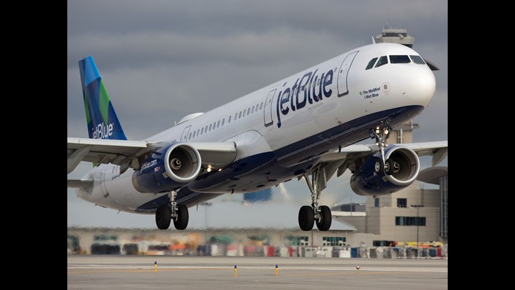 JetBlue joins other airlines in restricting support animals 