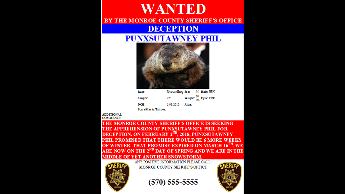 Groundhog Crime Arrest Warrant Issued For Punxsutawney Phil For Deception King5 Com