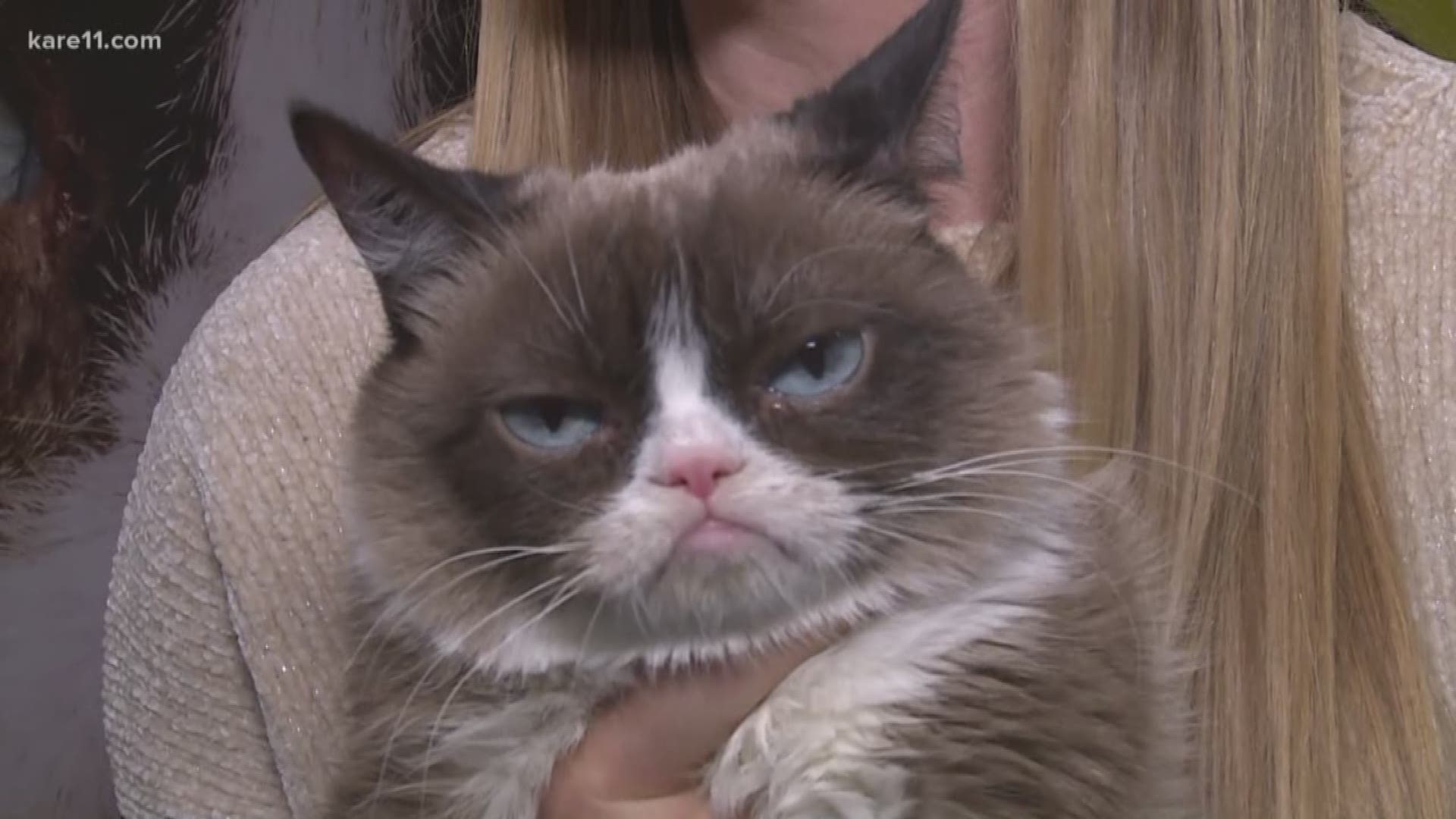 Grumpy Cat Has Passed Away