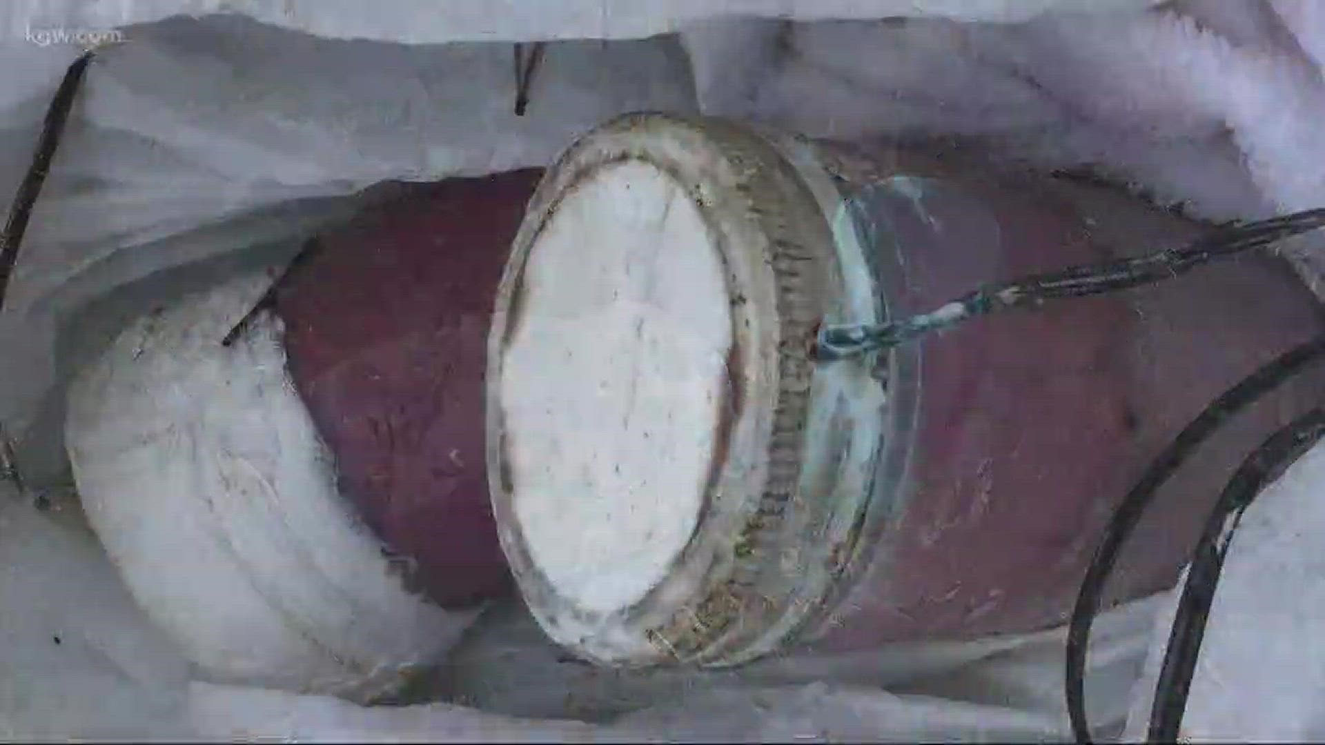 Some homemade bombs were spotted in Long Beach.