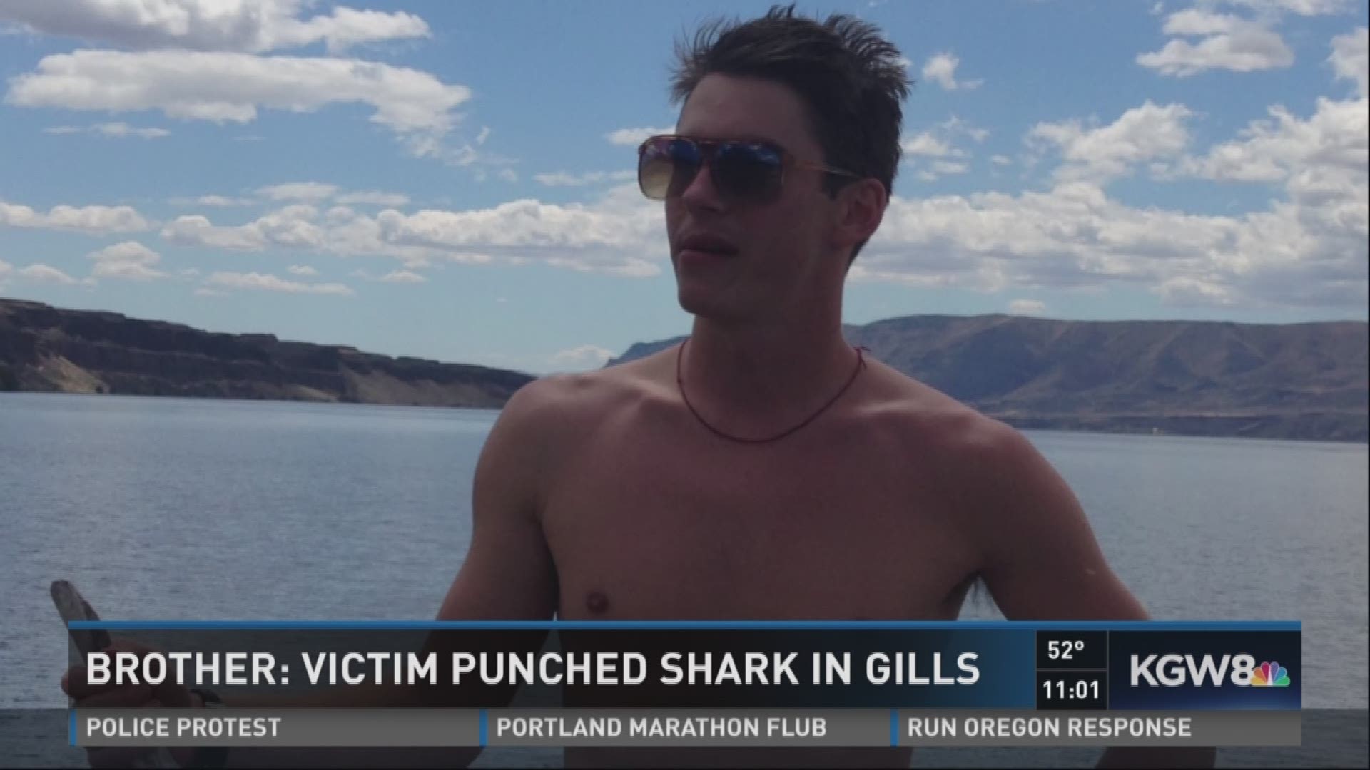 Brother: victim punched shark in gills