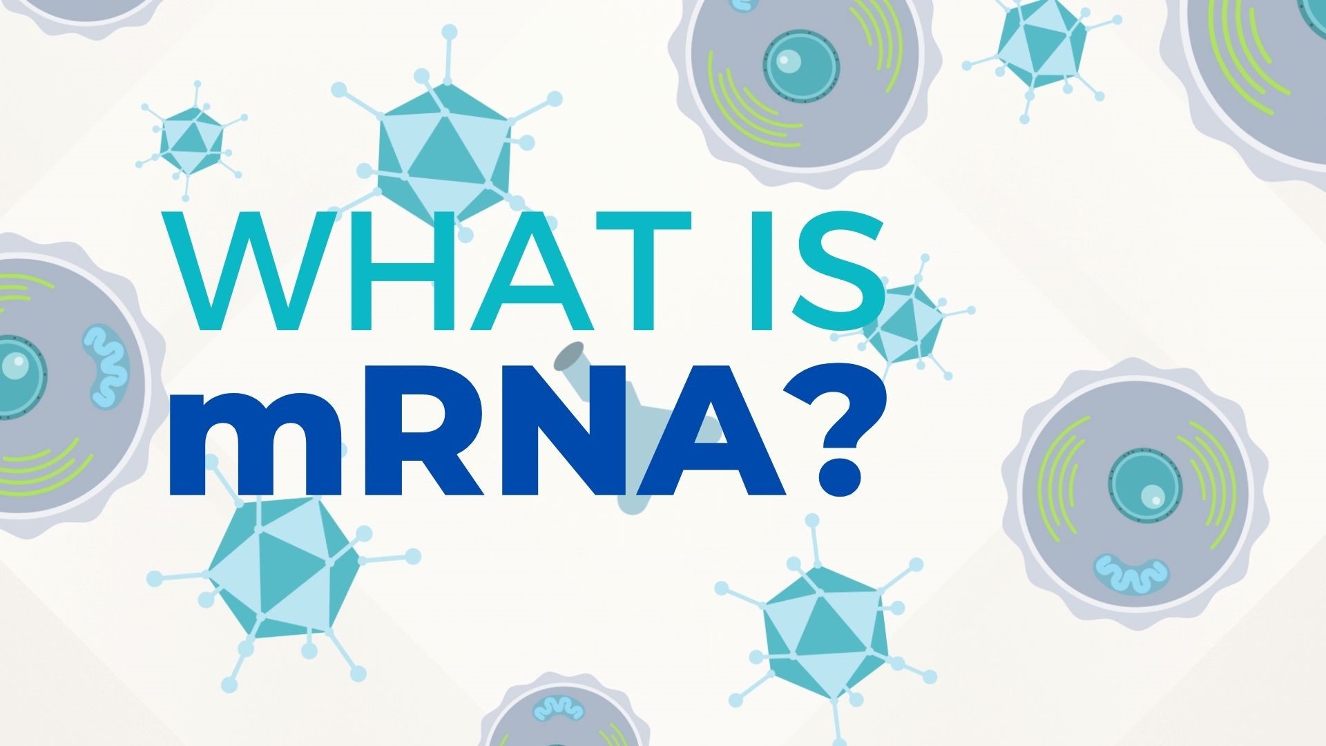 Both Pfizer and Moderna developed their COVID vaccines using mRNA technology, but what does that mean? Pat Dooris explains why mRNA vaccines are so groundbreaking.