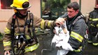Washington man comes home to discover house on fire, runs inside and saves dog