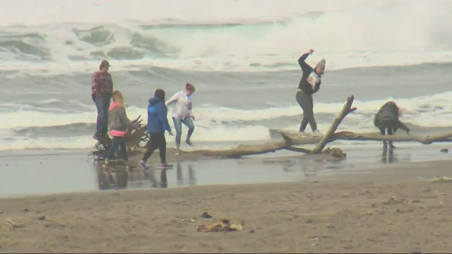 Beach logs pose serious risk