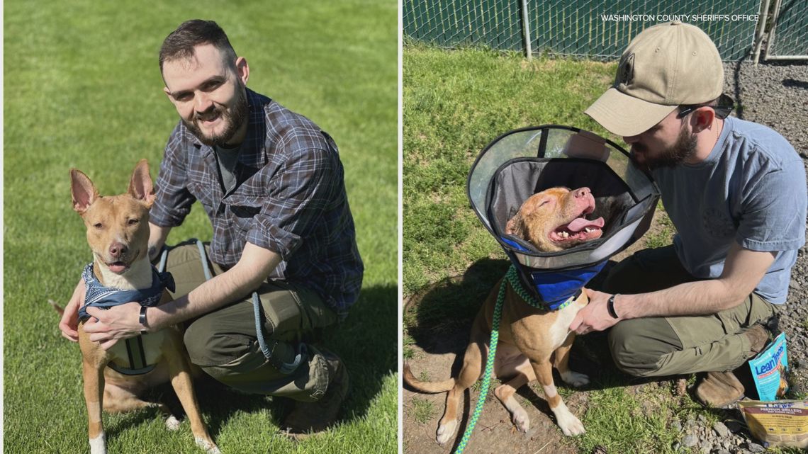 Oregon deputy rescues dog from animal abuse, then adopts her - Vimarsana News