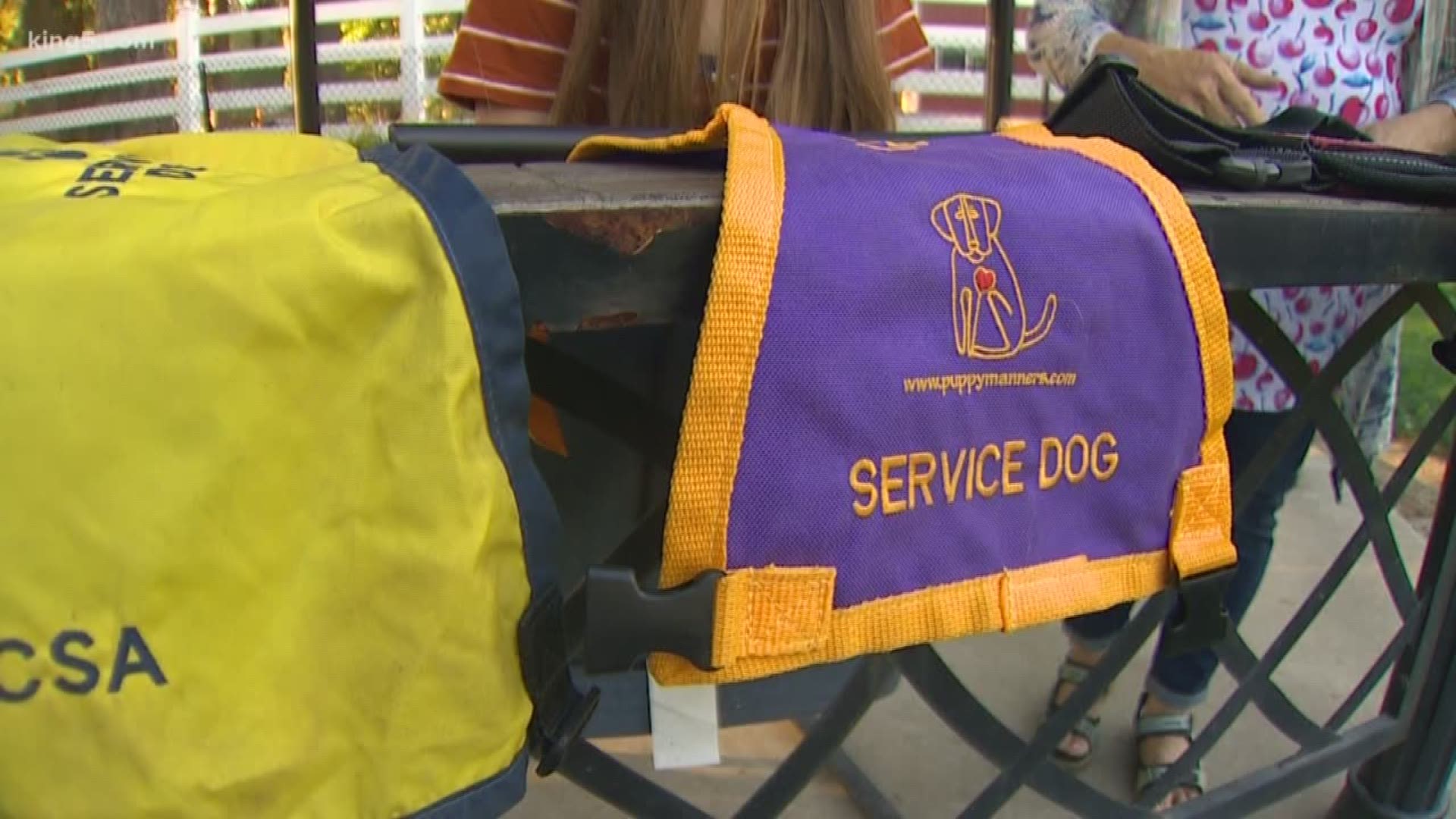 Photos showing a vendor selling service dog vests at the Washington State Fair caused a stir among the disability community. So, what are the rules? KING 5's Ted Land verifies.