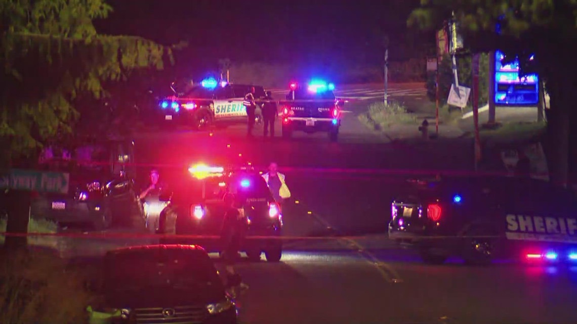 Deputies searching for suspect in fatal Skyway hit-and-run | king5.com