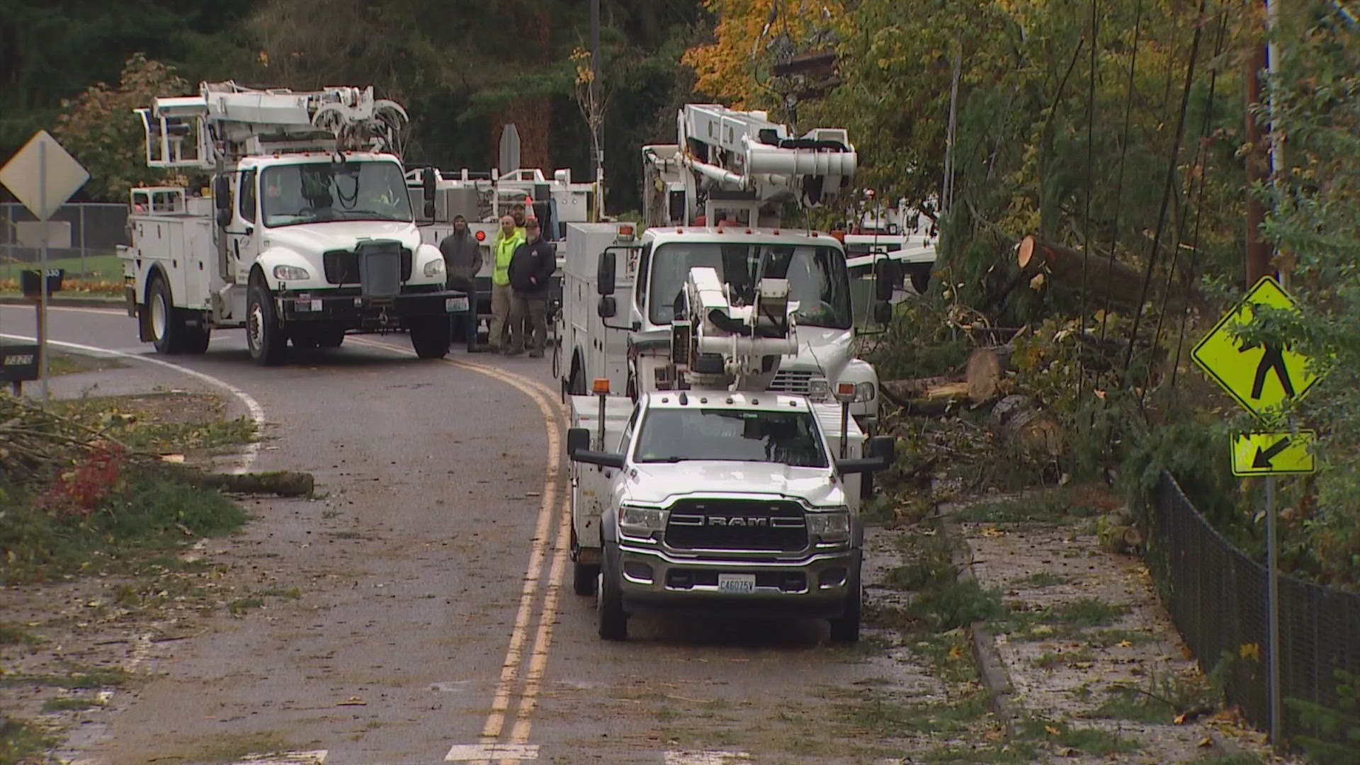 Thousands without power after storm topples trees across Puget Sound