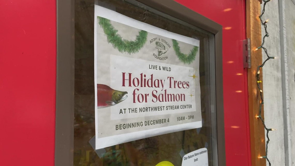 Adopt a Christmas tree and save local salmon this year