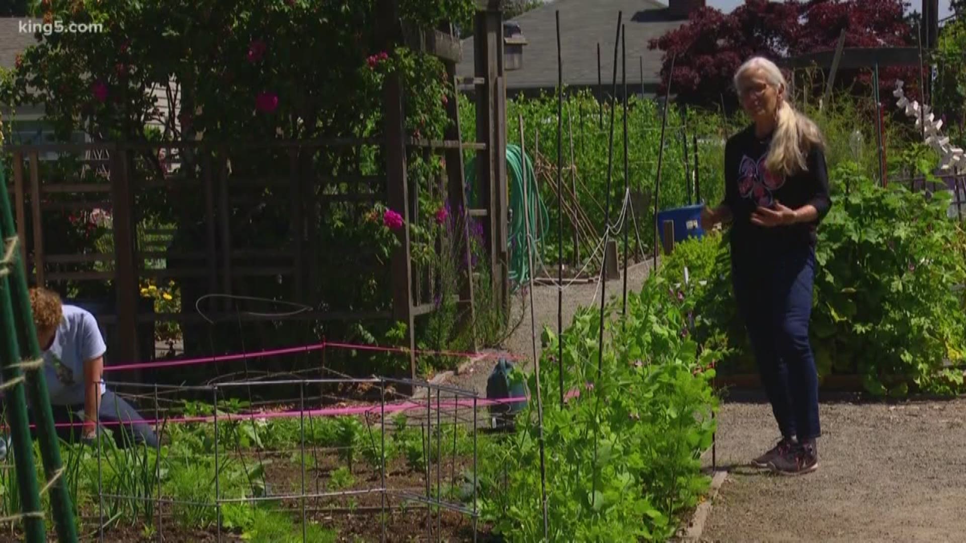 The land a community garden in Ballard occupies is being threatened by developers who want to build more town homes.