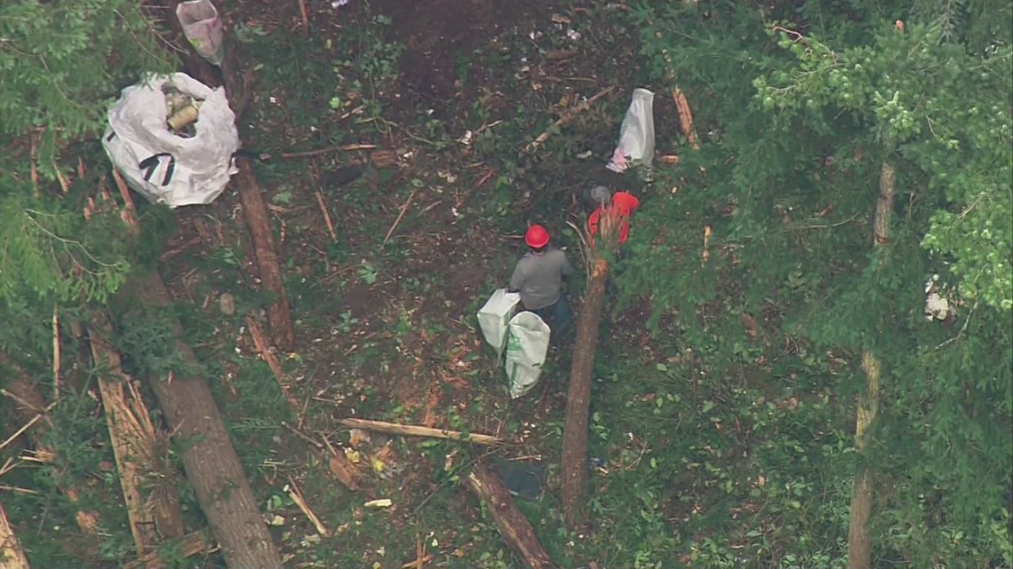 RAW: SkyKING flies over wreckage of stolen plane that 