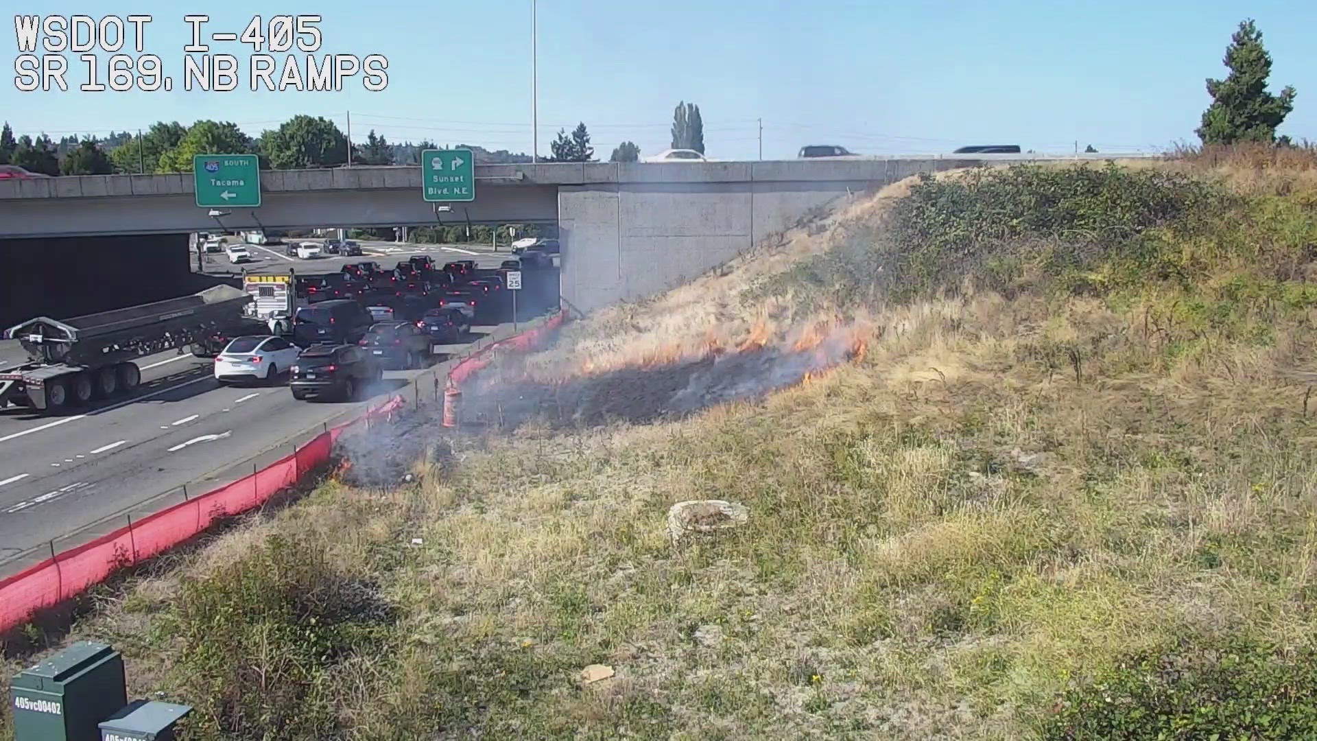Brush fire breaks out near I-5 overpass | king5.com