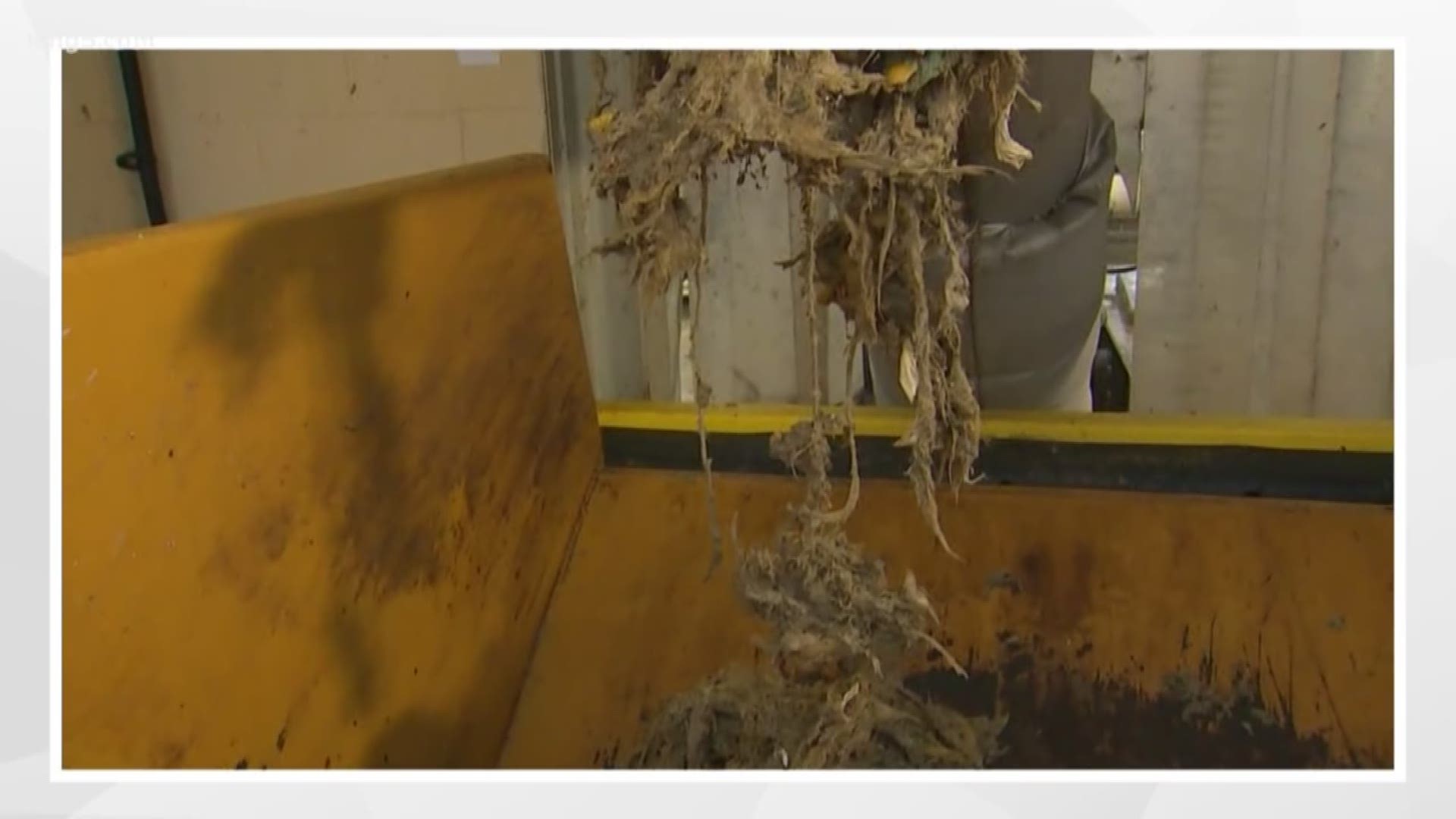 Officials with the City of Tacoma say flushable wipes cause expensive backups in the city's pipes, to the tune of $100k a year. KING 5's Kaci Aitchison has the details.