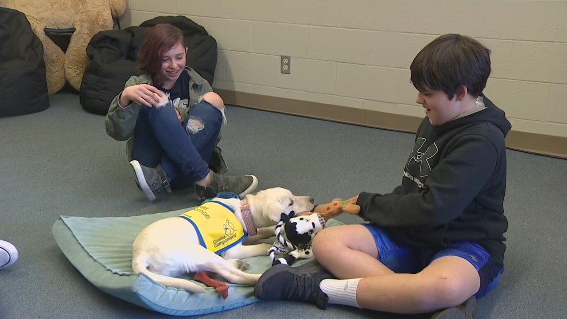 Lakes Stevens Middle School students help train puppy to be a future ...