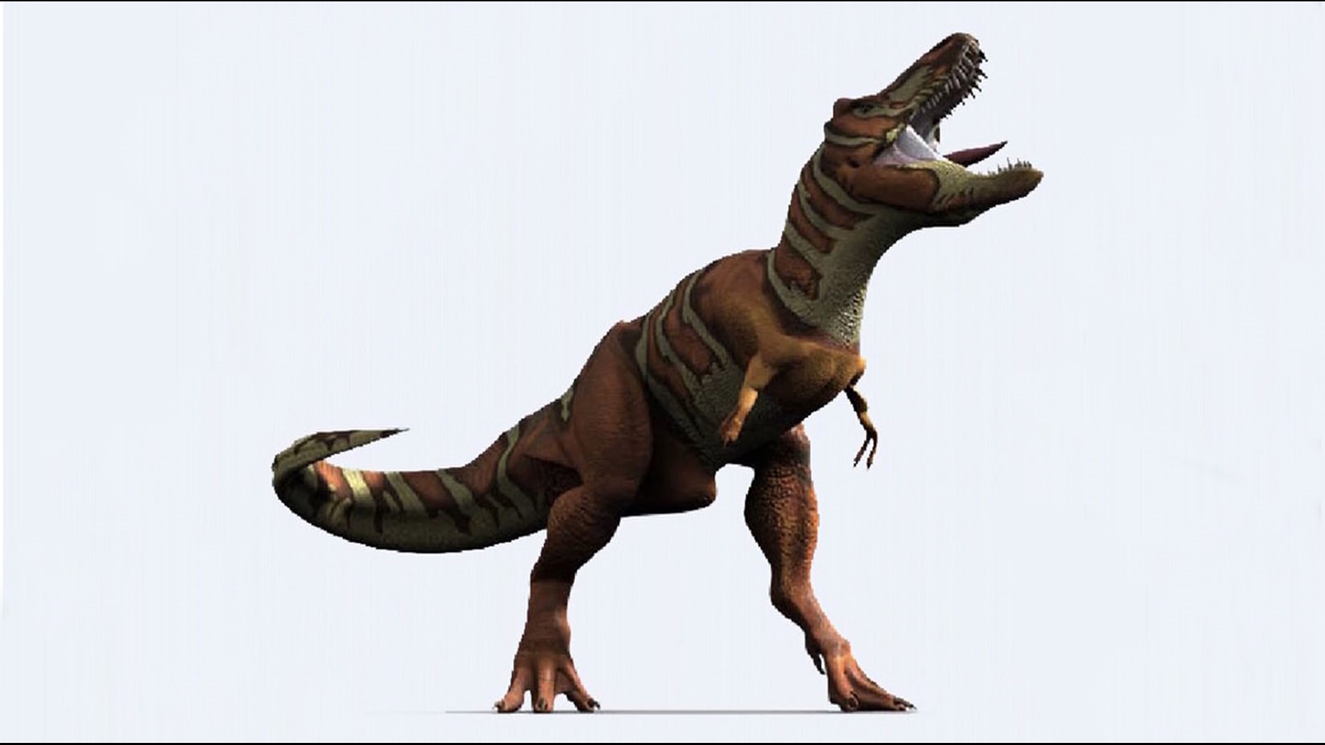 The tyrannosaur, discovered in 2012 on Sucia Island, predates Tyrannosaurus Rex by about 15,000,000 years.