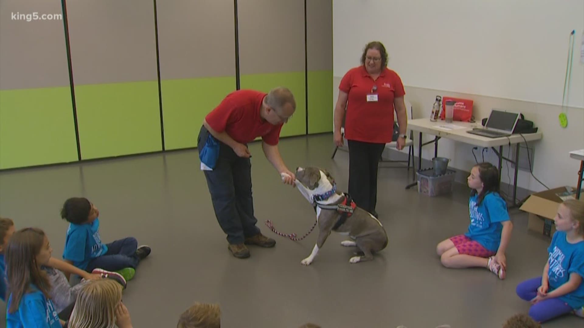 Seattle Humane believes in teaching the next generation about humane animal care. It offers summer camps right at the shelter for fun and learning.