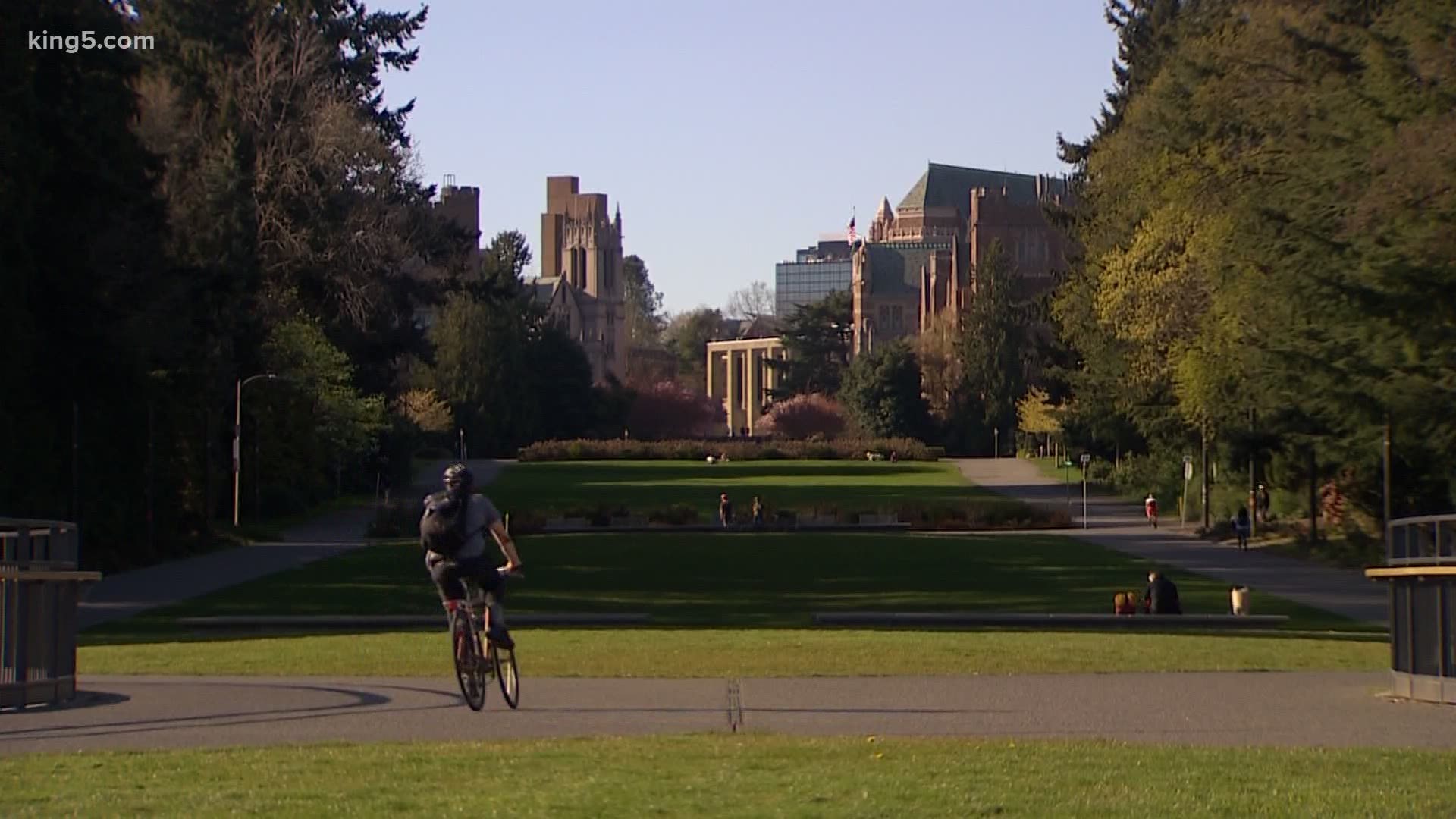 The University of Washington announce it would hold an online event and graduates could participate in next year's commencement ceremonies.