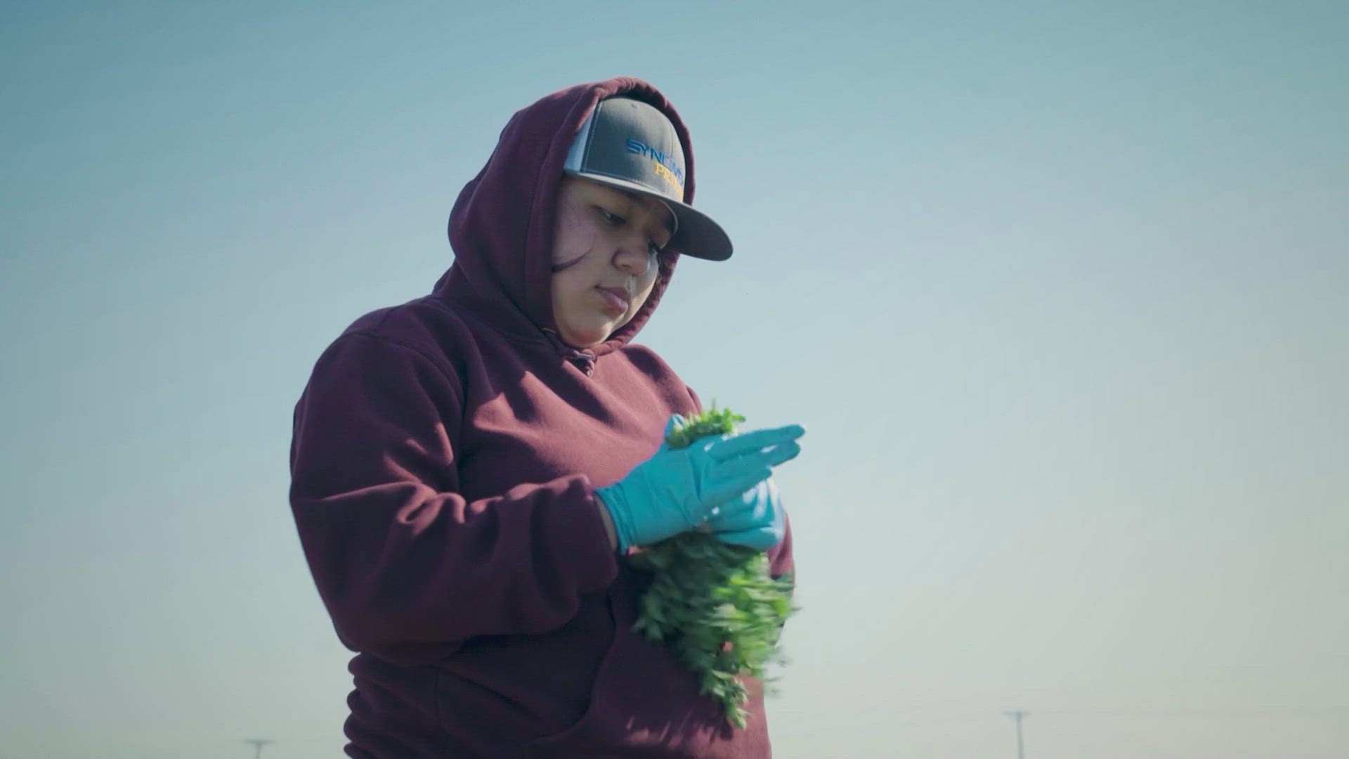 Since President Trump took office, the rhetoric of mass deportations has deeply shaken up the farm worker community.