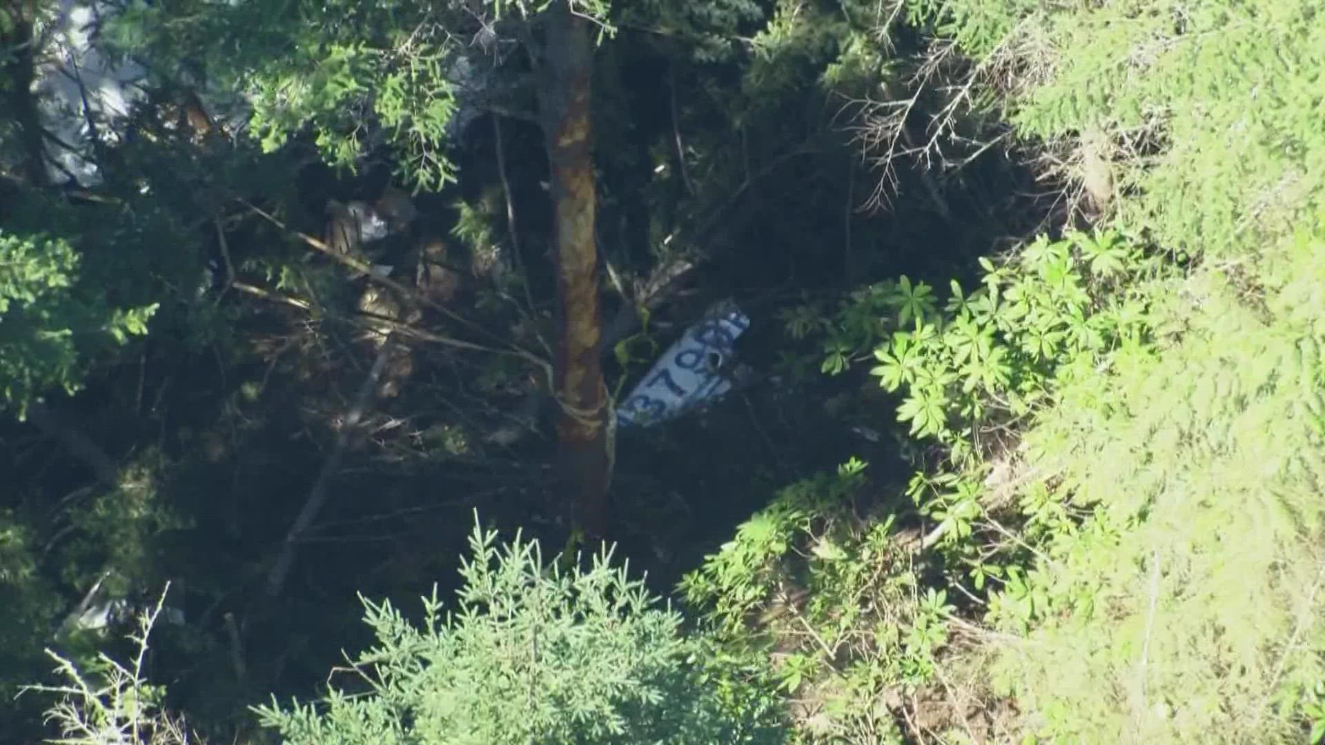 A pilot died after their plane crashed near Blyn in Jefferson County on Wednesday.