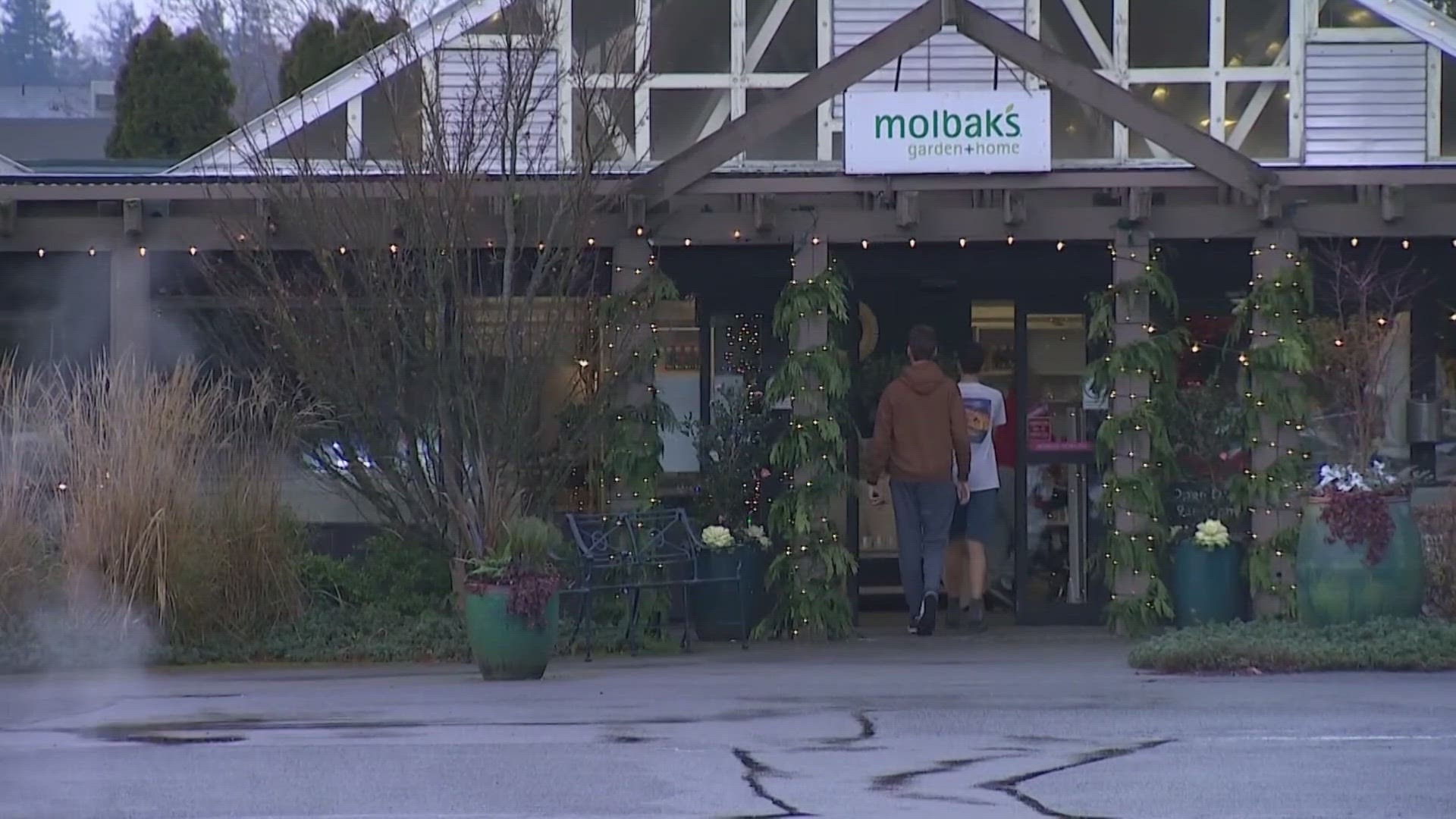 The owners of Molbak’s announced plans to transform the garden retailers’ former site following the support it received during its closure earlier this year.