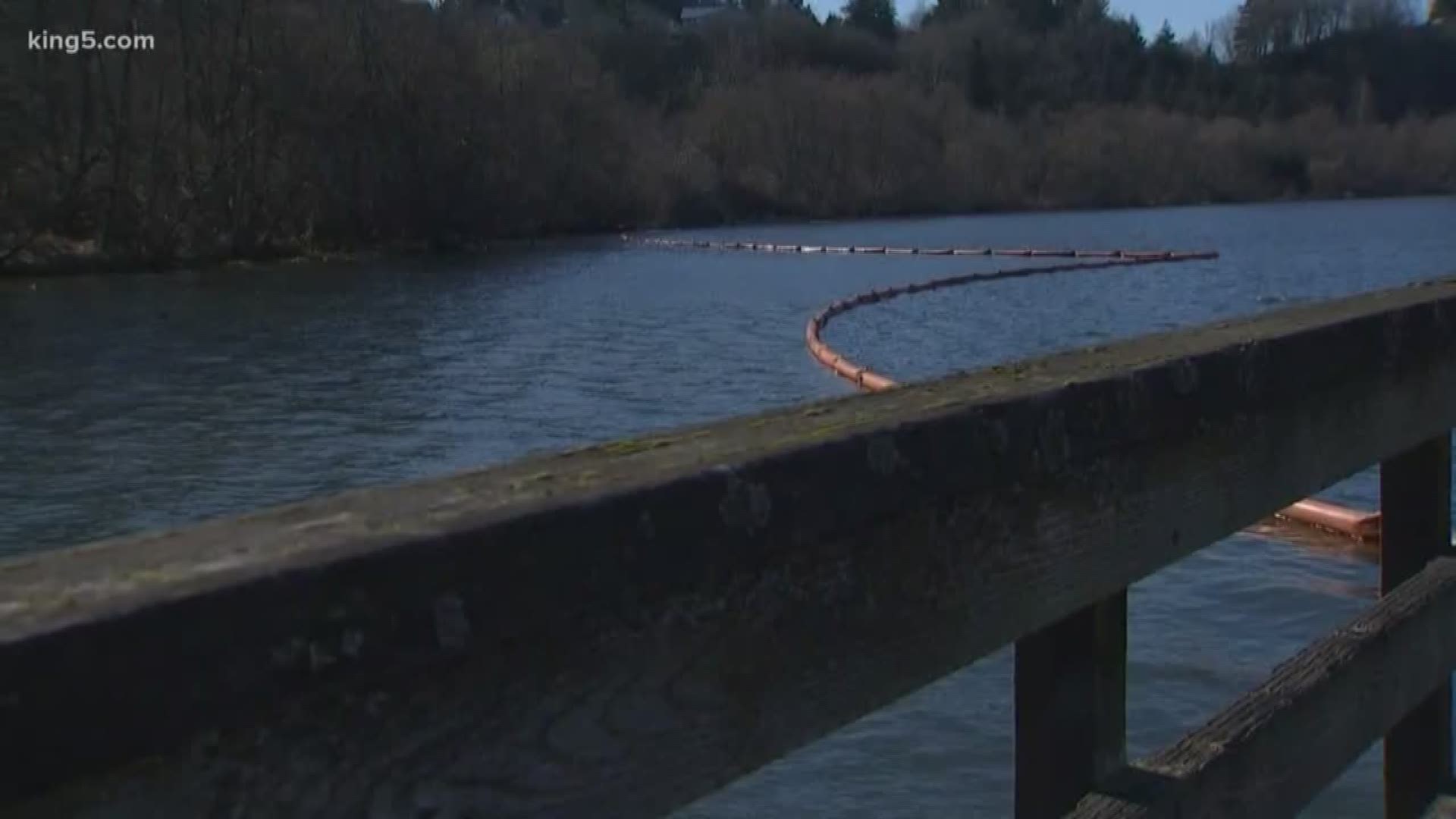 The oil spill that originated at the former Olympia Brewery is believed to have started after vandals damaged a transformer.