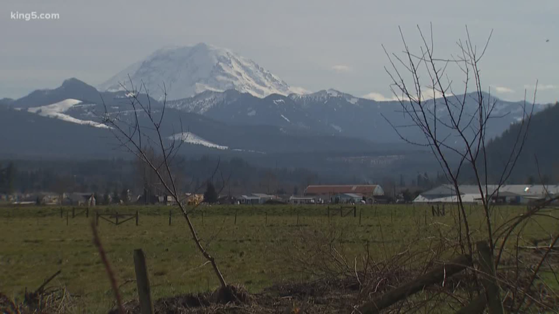 There are several fast moving developments, including an FBI request and a call for a review of more than 100 special purpose districts in King County. KING 5 Investigator Chris Ingalls has the details.