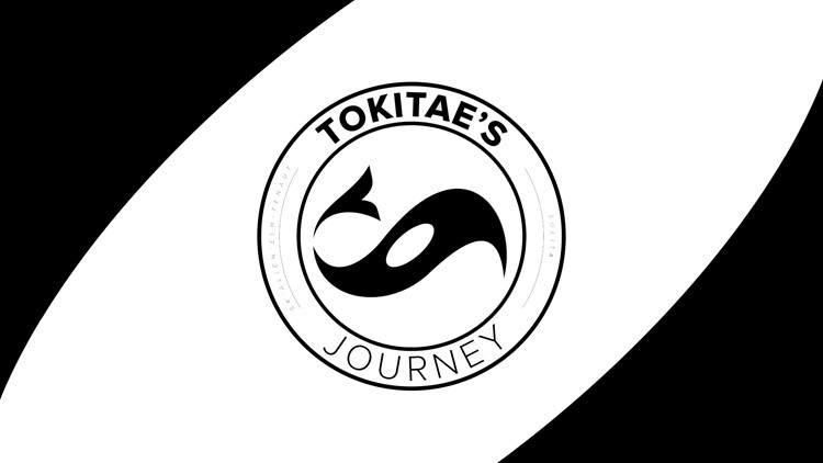 WATCH: Tokitae's Journey
