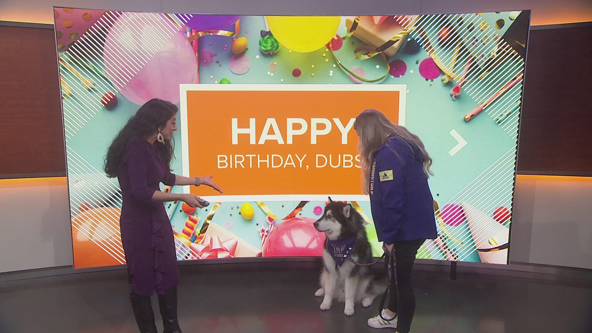 Happy Birthday Dubs!! UW mascot turns 7 years old | king5.com