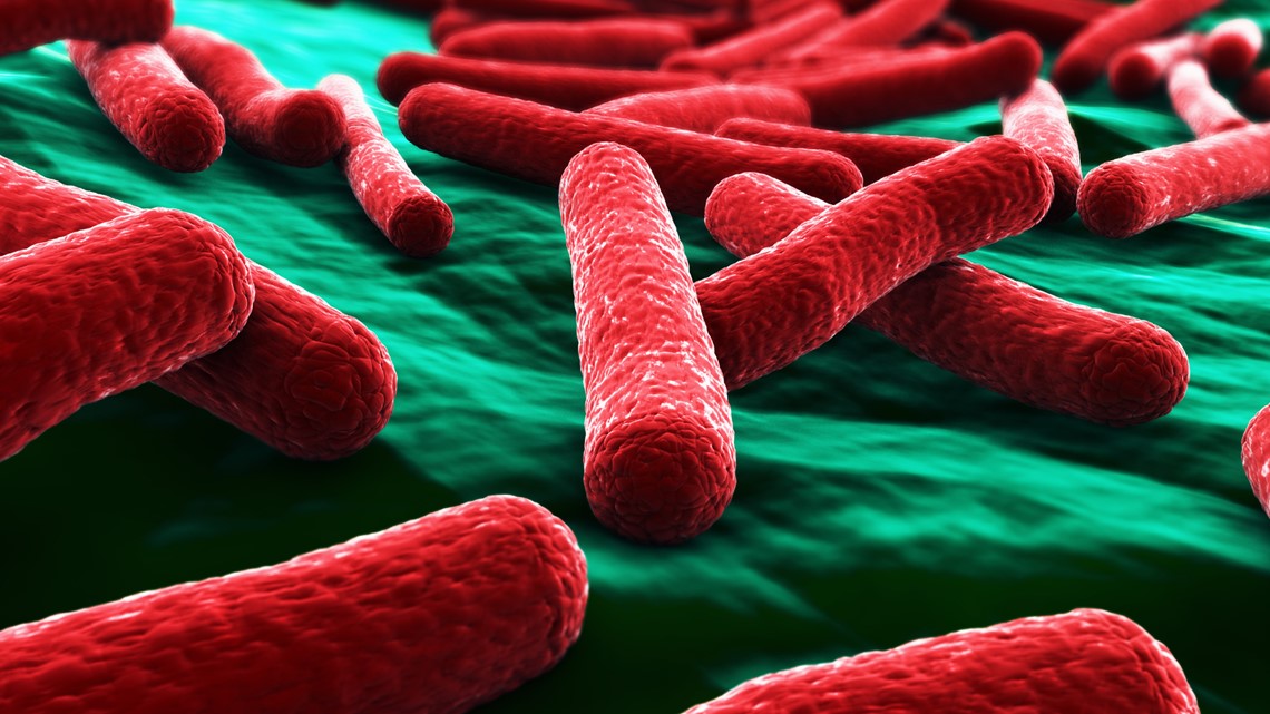 2 Washington families sue after children hospitalized with E. coli infections - Vimarsana News