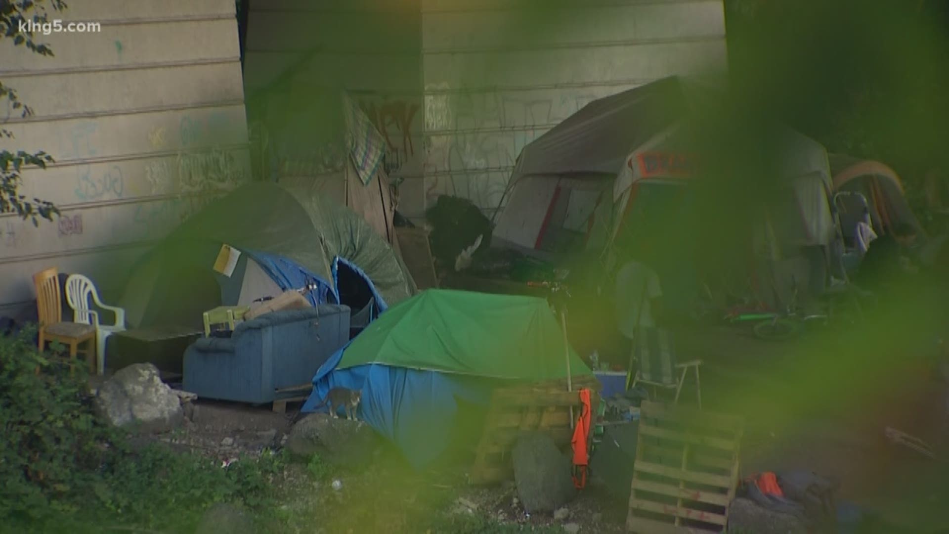 The Olympia City Council said it will let First Christian Church take leadership of the 4th Avenue Bridge homeless camp. KING 5's Kalie Greenberg reports.